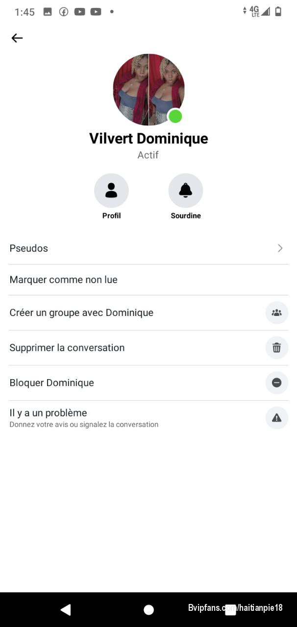 Vilvert dominique bel tyè koko